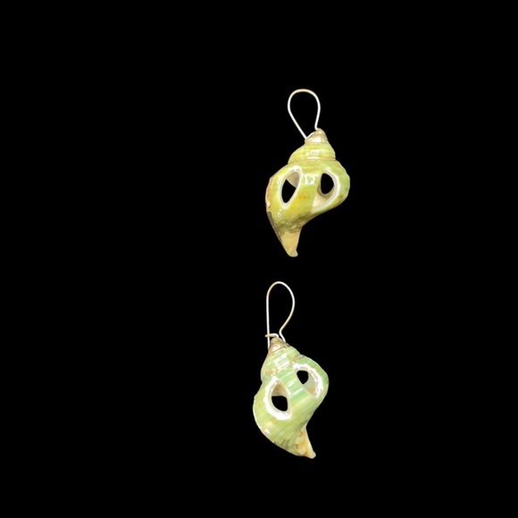 EXTRAORDINARY ~ HANDMADE ~ EXOSKELETON SHELL & GOLD TRIMMED ~ EARRINGS ~ 1" - Picture 1 of 11